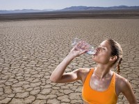 Сколько воды нужно пить каждый день?