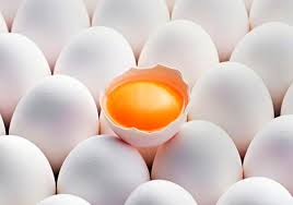 Пищевая ценность куриных яиц