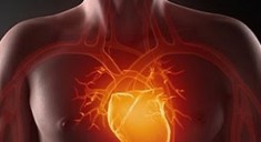 Здоровье сердца не связано с наличием «хорошего холестерина»