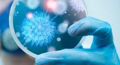 Ученые планируют уничтожать раковые клетки полиовирусом