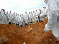 Эксперты: скоро человечество захлестнут глобальные эпидемиии