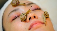 beauty_benefits_of_snail_slime_